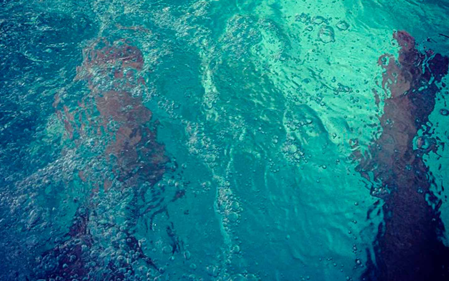 How to Diagnose and Prevent Spa Algae