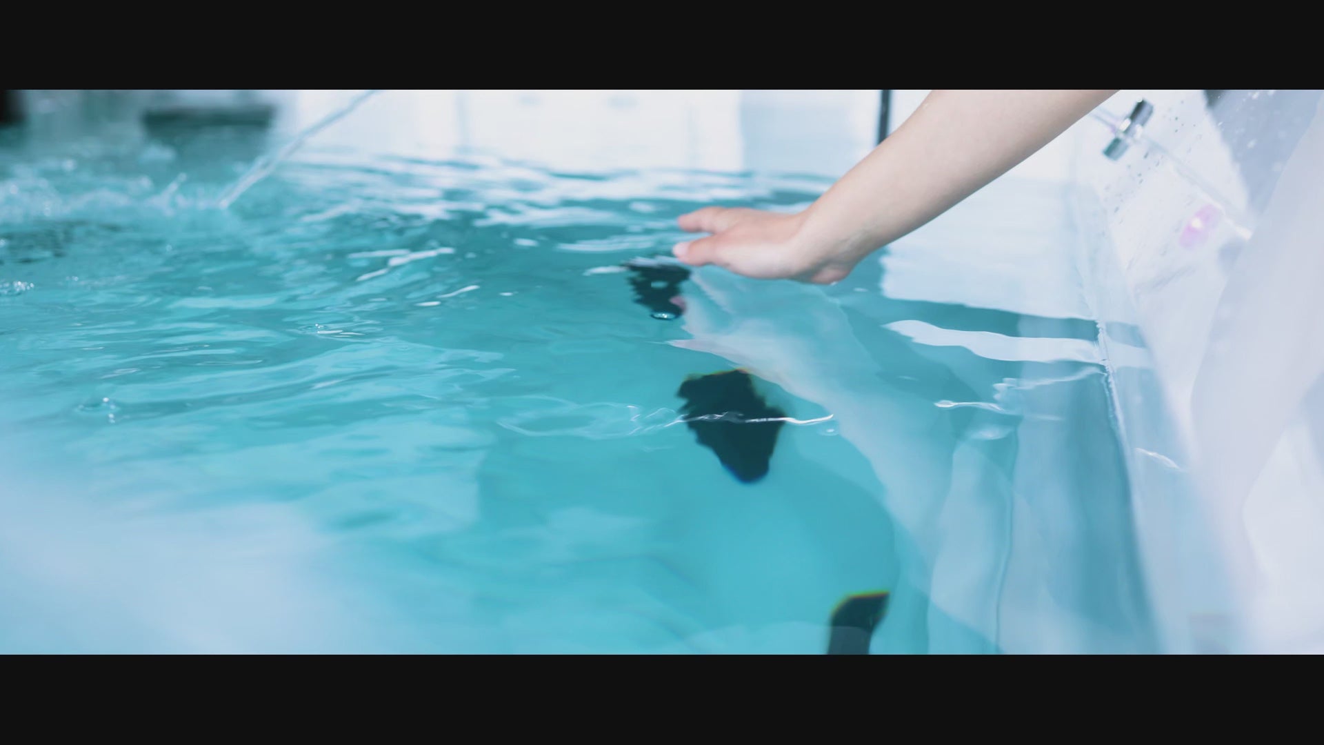 Load video: